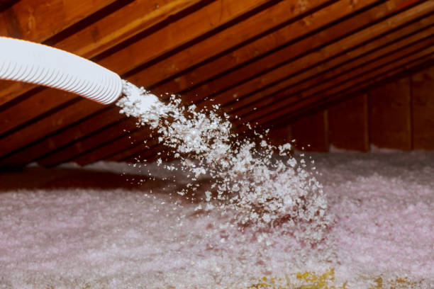 Best Energy Efficiency Solutions in Lake Stevens, WA